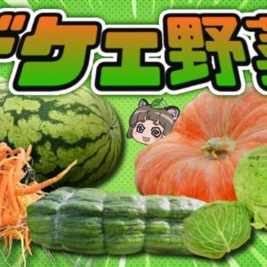 デ　ケ　ェ　野　菜　8　選