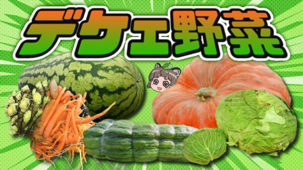 デ　ケ　ェ　野　菜　8　選