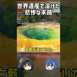 【１分解説】世界遺産でどろどろになった悲惨な男性の末路【ゆっくり解説】#shorts
