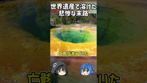 【１分解説】世界遺産でどろどろになった悲惨な男性の末路【ゆっくり解説】#shorts