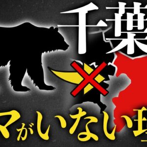 【疑問】千葉県はなぜ本州で唯一クマがいないのか？