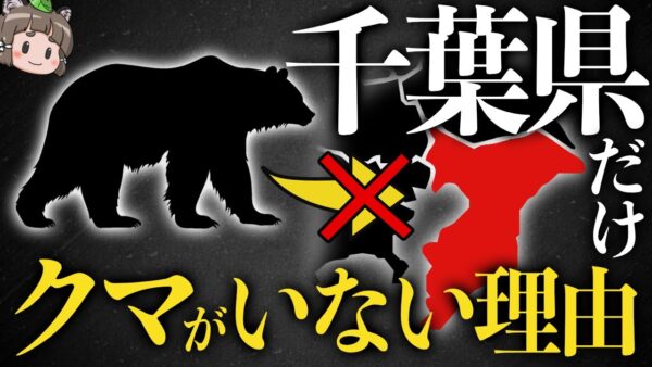 【疑問】千葉県はなぜ本州で唯一クマがいないのか？