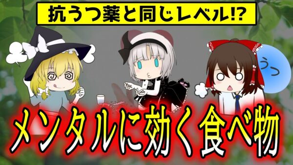 抗うつ薬と同じくらい不安を減らす！スーパーで買えるメンタルに効く食べ物【ゆっくり解説】