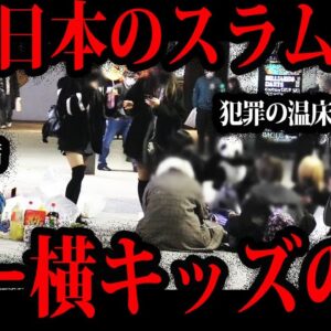 【ゆっくり解説】本当に日本…？異様すぎるトー横キッズの闇