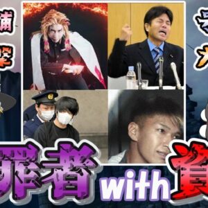 【ゆっくり解説】犯罪者with資格　私人逮捕・号泣会見・総理襲撃・大量○人【資格】