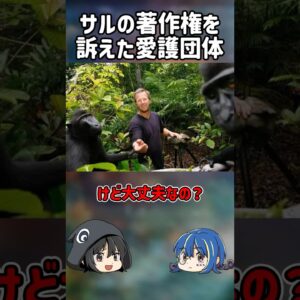 【１分解説】サルの自撮りの著作権を訴えたヤバい奴らを1分解説【ゆっくり解説】#shorts