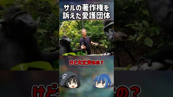 【１分解説】サルの自撮りの著作権を訴えたヤバい奴らを1分解説【ゆっくり解説】#shorts
