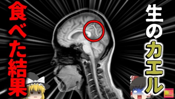 【2014年】原因は「生のカエル」？6年以上悩まされた