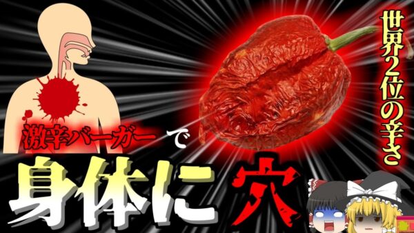 【2016年】世界2位の辛さ 唐辛子ペーストバーガーで身体に3cmの穴 大食い大会で地獄を見た男性 【ゆっくり解説】