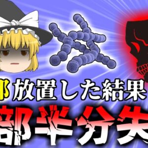 【2021年】「いつもの風邪かなぁ」→脳が溶連菌だらけになり頭蓋骨の半分を失った女性 『副鼻腔炎溶連菌感染症』【ゆっくり解説】