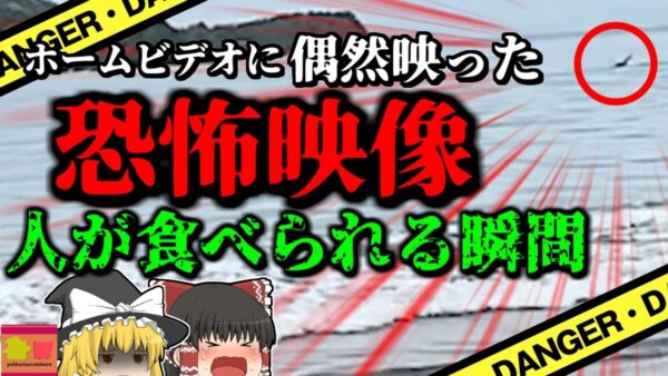 【2023年】ホームビデオに写り込んでいた恐怖映像 海でワニに襲われ助けを呼ぶ男性のシルエットが…『メキシコ湾ワニ襲撃事故』【ゆっくり解説】