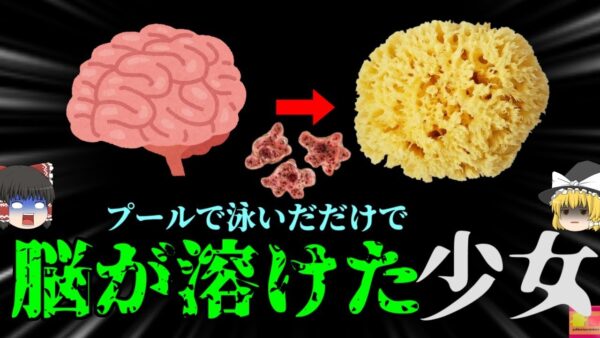 【2023年】脳がぐずぐずに溶けてしまう奇病 原因は