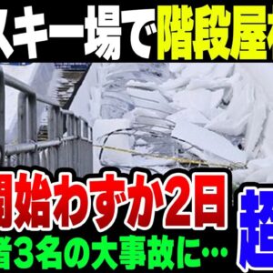 【韓国・清州】 オープン2日目の雪そりゲレンデで通路の屋根が崩落…20人が一時生き埋め、3人が重軽傷 【ゆっくり解説】