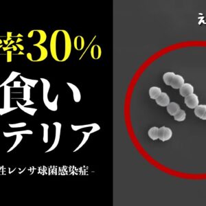 【致死率30％】人食いバクテリアの恐ろしさ｜感染者が過去最多に…一体何が起きているのか