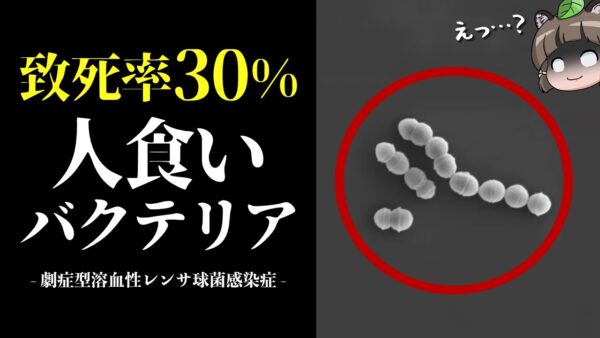 【致死率30％】人食いバクテリアの恐ろしさ｜感染者が過去最多に…一体何が起きているのか