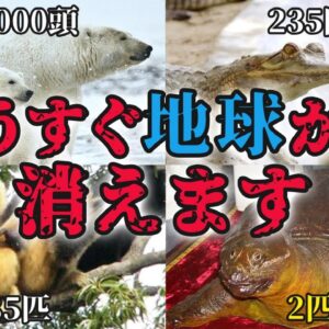 【滅亡】もうすぐ地球から消える…絶滅寸前の生き物8選 パート2