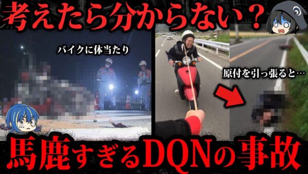 【ゆっくり解説】やっぱりその結末。想像以上のバカすぎるDQN事故