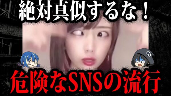 【ゆっくり解説】絶対にやるな！危険なSNSの流行５選