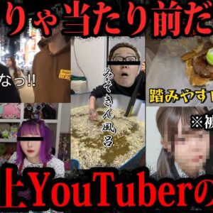 【ゆっくり解説】なぜやった？大炎上したYouTuber5選