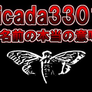 【ゆっくり解説】新作です。『cicada3301』の本当の意味とは？名称の謎について解説