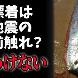 【陰謀】リュウグウノツカイ漂着は地震の予兆？→そんなわけない