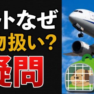 【日航機事故】なぜ一緒に逃げられない？ペットが荷物扱いの本当の理由