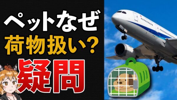 【日航機事故】なぜ一緒に逃げられない？ペットが荷物扱いの本当の理由