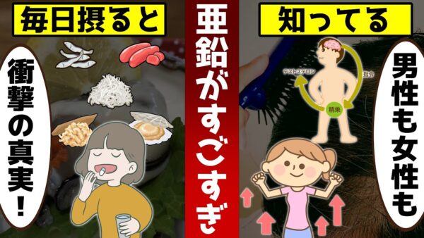 亜鉛を摂り続けると体に何が起こる？本当にすごい健康効果とは【ゆっくり解説】