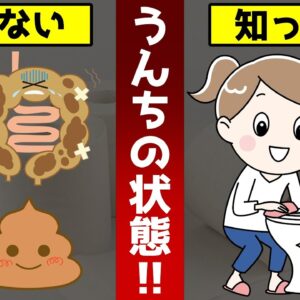 あなたのうんちは浮くか沈むか？知らないと後悔する見逃してはいけないサインとは【ゆっくり解説】