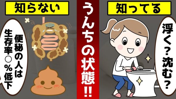 あなたのうんちは浮くか沈むか？知らないと後悔する見逃してはいけないサインとは【ゆっくり解説】