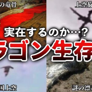 【伝説】ドラゴンは生存するのか？実在を裏付ける世界各地の証拠たち
