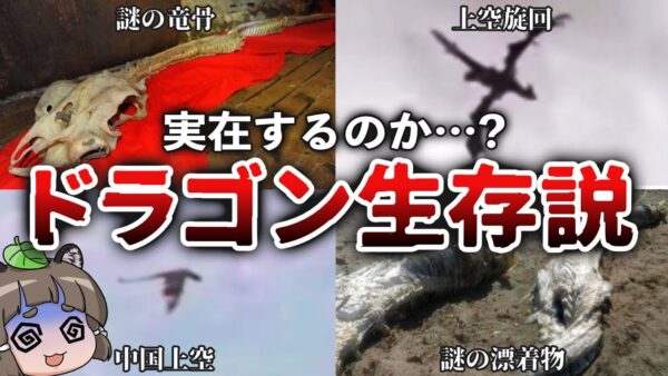 【伝説】ドラゴンは生存するのか？実在を裏付ける世界各地の証拠たち