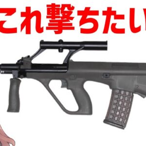 【雑談】何を撃つか？新年のごあいさつ