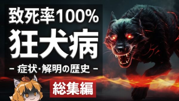 【総集編】狂犬病はなぜヤバいのか？致死率100％の恐ろしい症状と歴史