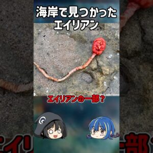 【１分解説】海で見つかったエイリアンを1分解説【ゆっくり解説】#shorts