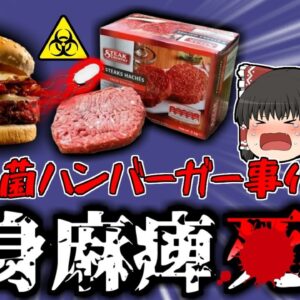 （修正）【2003年】『大腸菌ハンバーガー事件』8年前に汚染されたハンバーガーを食べた男児 身体の80%が麻痺状態となり〇亡【ゆっくり解説】