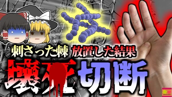 【2014年】小さな「トゲ」から腕が壊〇して切断することに…ケガを放置してはいけない理由『劇症型溶連菌』【ゆっくり解説】