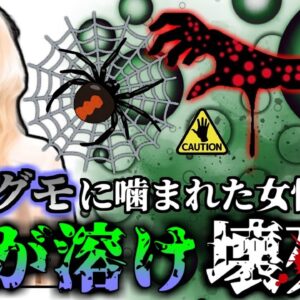 【2014年】毒グモに噛まれた腕が爛れ6年以上地獄の苦しみを味わった女性…日本にも居る恐ろしい毒グモ『セアカゴケグモ刺咬事件』【ゆっくり解説】