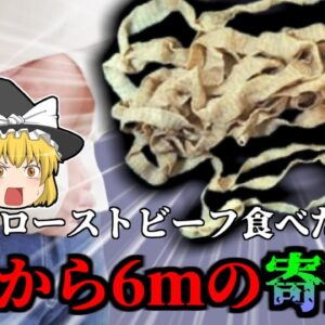 【2015年】「放置すると脳まで喰う虫」　ローストビーフ好きの男性から6.2ｍの寄生虫 『無鉤条虫感染症』 生食のリスク【ゆっくり解説】