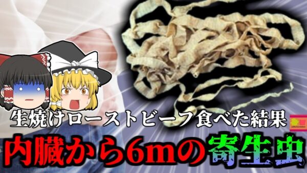 【2015年】「放置すると脳まで喰う虫」　ローストビーフ好きの男性から6.2ｍの寄生虫 『無鉤条虫感染症』 生食のリスク【ゆっくり解説】