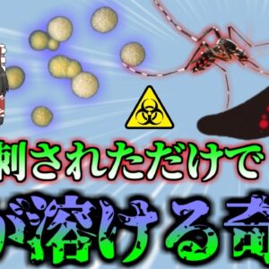 【2016年】”蚊に刺されただけ”　痛みを感じないのに肉が腐り骨が飛び出す奇病…日本でも毎年数名が感染する「ブルーリ潰瘍」これを恐れ出川哲郎氏に鼻ザリガニ禁止令も【ゆっくり解説】