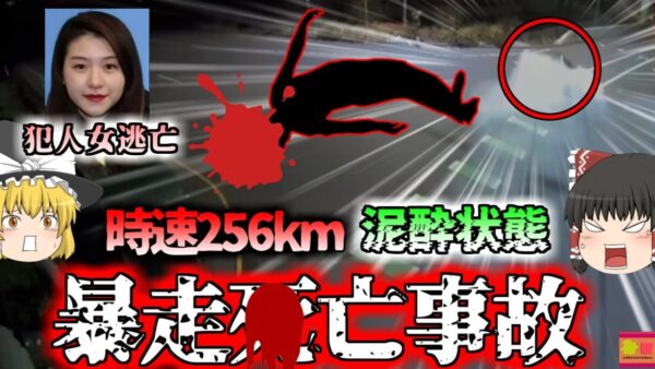 【2023年】泥酔状態でポルシェを運転 時速256kmでコンクリートに激突 同乗者の男性〇亡も中国に逃走した女 【ゆっくり解説】