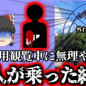 【2023年】子供用ミニ観覧車に無理やり乗った女性 高さ4ｍから落下し顔面を破壊 肝臓が破裂して●亡【ゆっくり解説】