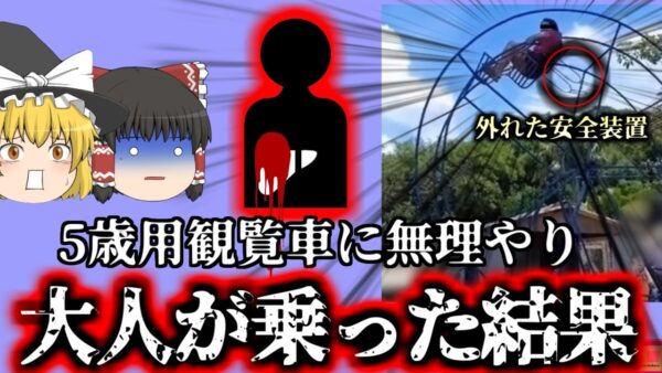 【2023年】子供用ミニ観覧車に無理やり乗った女性 高さ4ｍから落下し顔面を破壊 肝臓が破裂して●亡【ゆっくり解説】