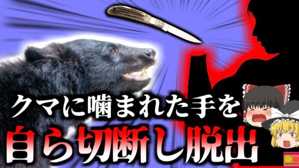 【2024年】「ご飯だよ～」→熊に手を噛まれる　やむを得ず腕を切断し脱出した保護団体男性  「タイ保護ツキノワグマ噛みつき事故」【ゆっくり解説】
