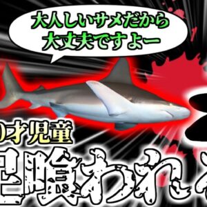 【2024年】高級リゾートの水槽でサメに襲われた児童　動画が拡散しその逃げる姿に衝撃 【ゆっくり解説】