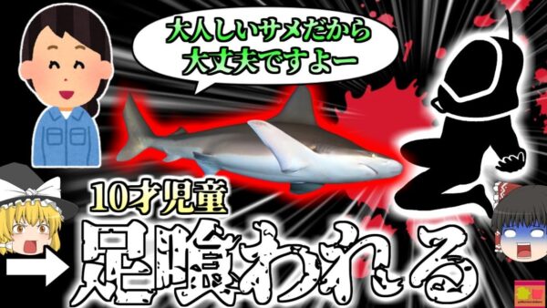 【2024年】高級リゾートの水槽でサメに襲われた児童　動画が拡散しその逃げる姿に衝撃 【ゆっくり解説】