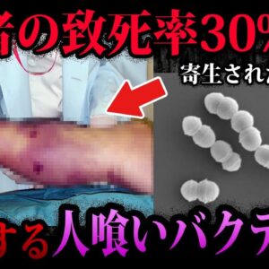 【ゆっくり解説】致死率30％の危険生物！？人間に寄生する寄生虫５選