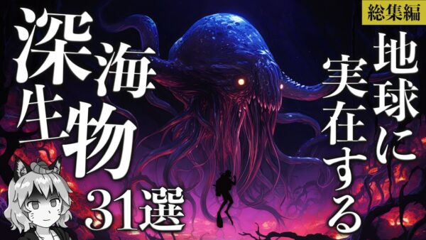 【総集編】地球に実在する信じられない深海生物31選
