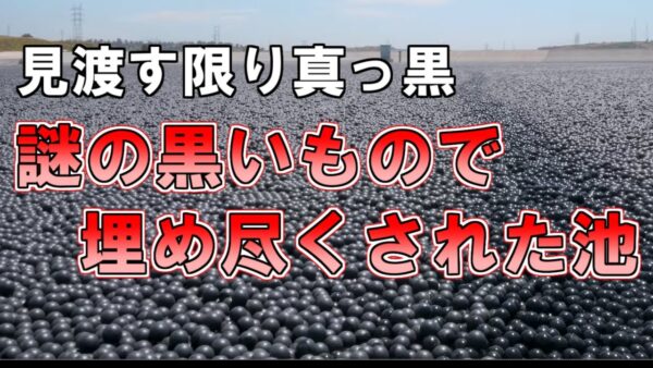 【ゆっくり解説】約9600万個。謎の黒いもので埋め尽くされた池